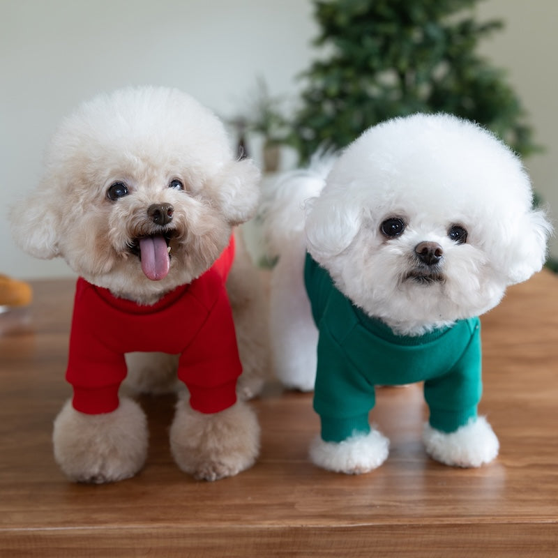 Christmas Gift Pattern Dog Cat Hoodie